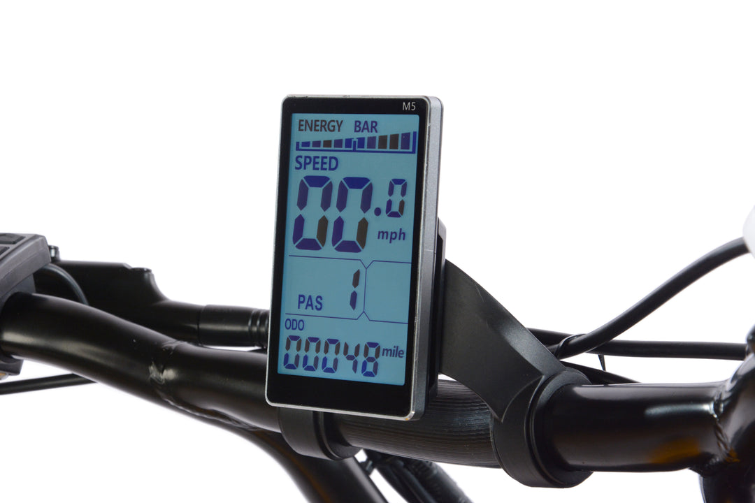 Majestic California E-Bike
